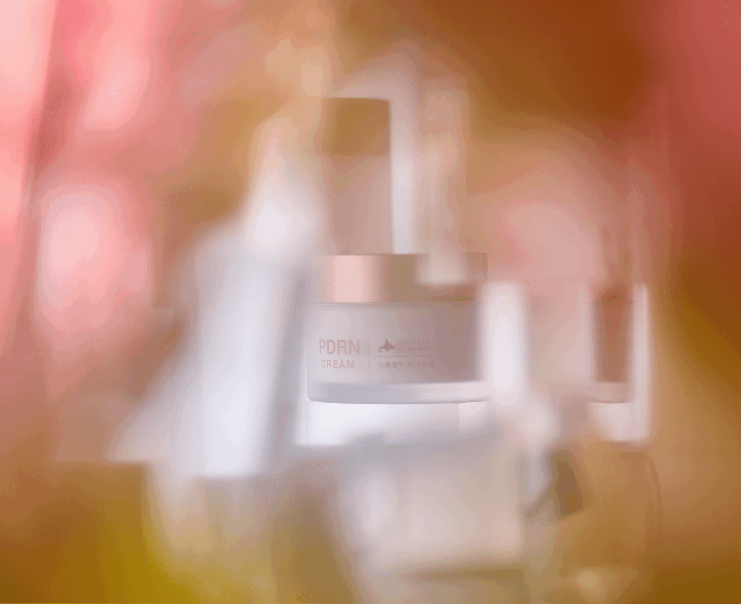 メインイメージ